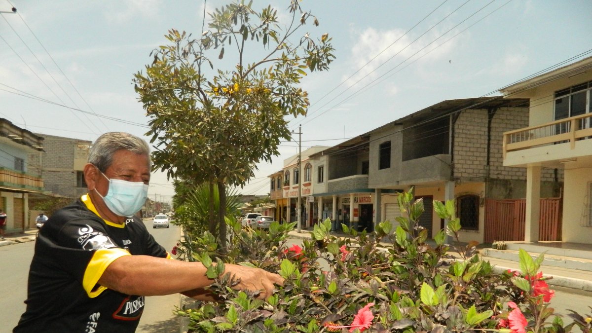 Avenida Sixto Chang. Esas son algunas de las especies que Jorge De la A, en la imagen, ha sembrado en su calle. Antes en ellas no había nada verde.