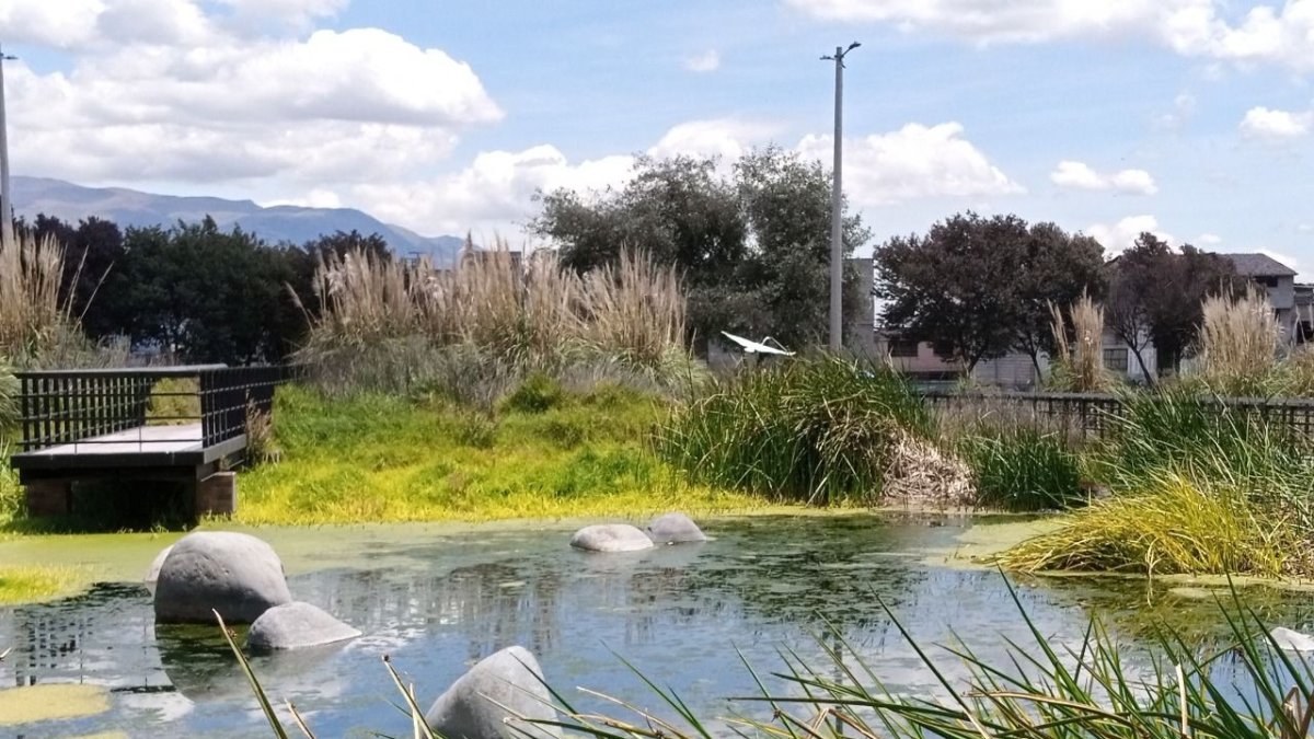 Verdor. El parque cuenta con un humedal que alberga a varios animales.