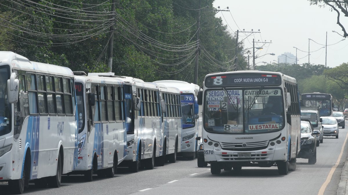 Escenario. Así amanecieron algunos buses de Guayaquil a lo largo de la avenida Barcelona.