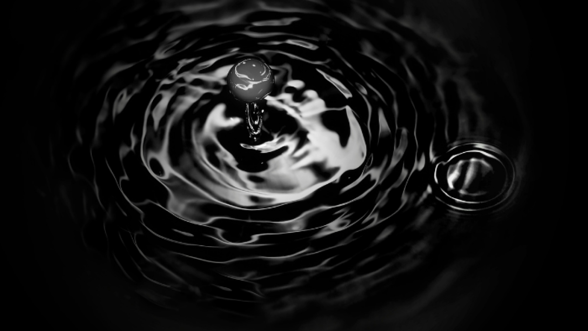 Petroecuador adjudicó a la firma Shell Western Supply and Trading Limited, la exportación de 1.440.000 barriles de crudo 