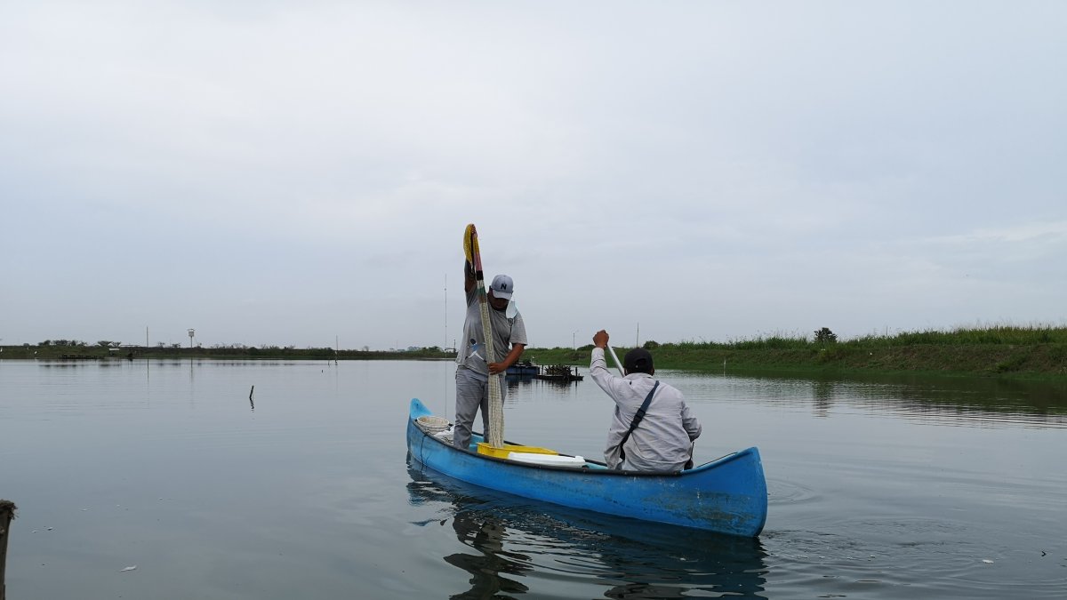 Este sector se ha recuperado luego de la pandemia.