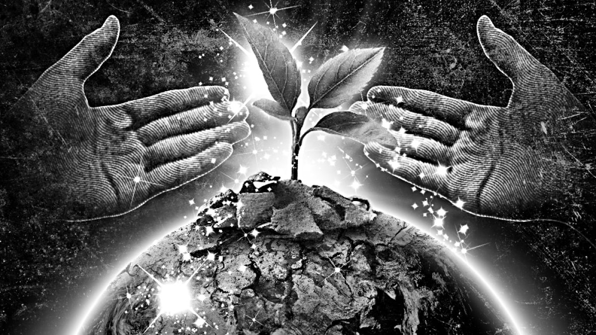 COP26: de negociaciones a soluciones climáticas.