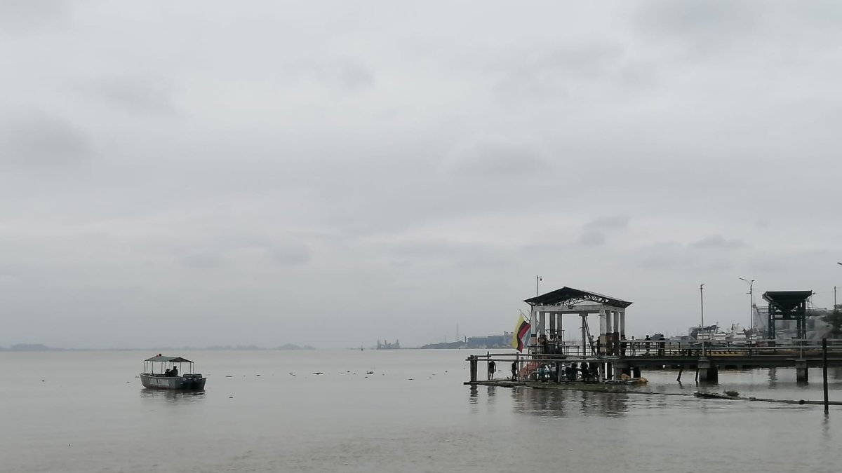 El hallazgo fue reportado la mañana de este lunes 25 de octubre.