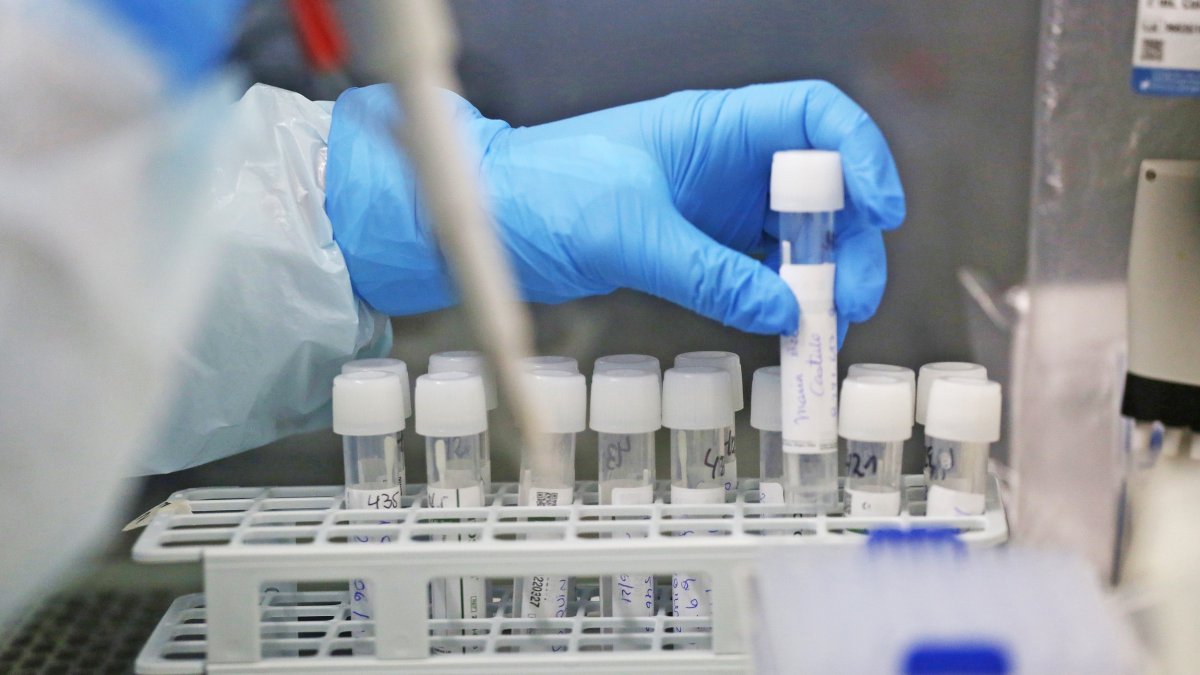 Científicos trabajan en un laboratorio sobre el método para contrarrestar el SARS-CoV-2, causante de la COVID-19, en el mundo. Elvis González / EFE