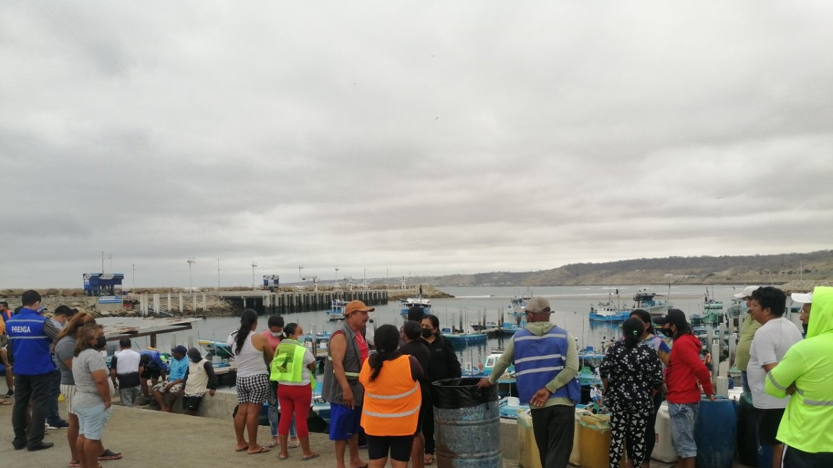 Las actividades en las caletas de pescadores de Manta volvieron a la normalidad luego de la buena noticia.