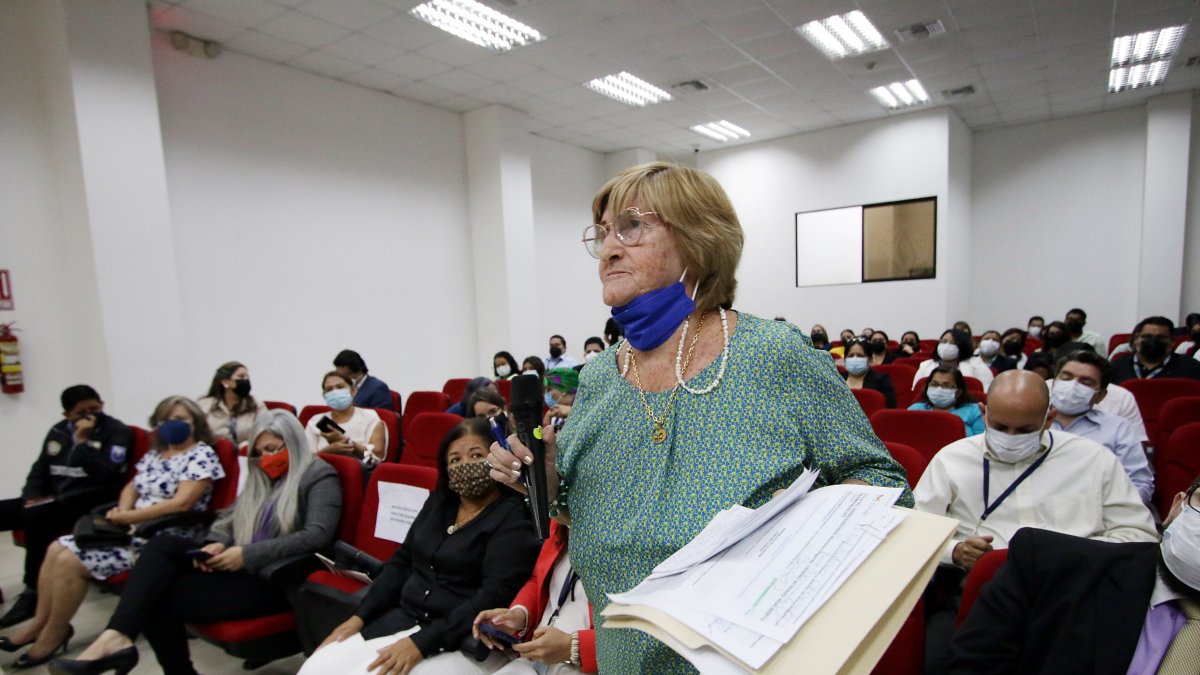 Inquietudes. La defensora de derechos de las mujeres, Cecilia Endara, solicitó que se incluyan más datos en la herramienta relacionados a la niñez.