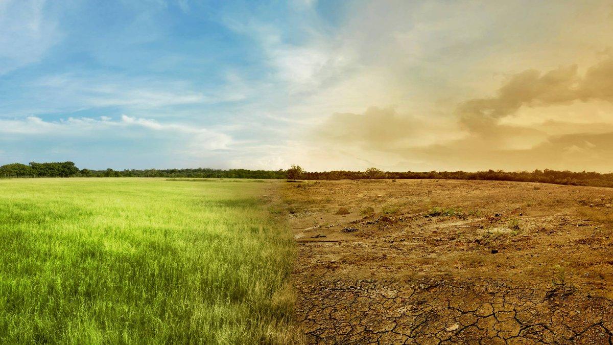 El calentamiento global preocupa también a los jóvenes de Latinoamérica, que creen que sus gobiernos no se están esforzando en tomar medidas