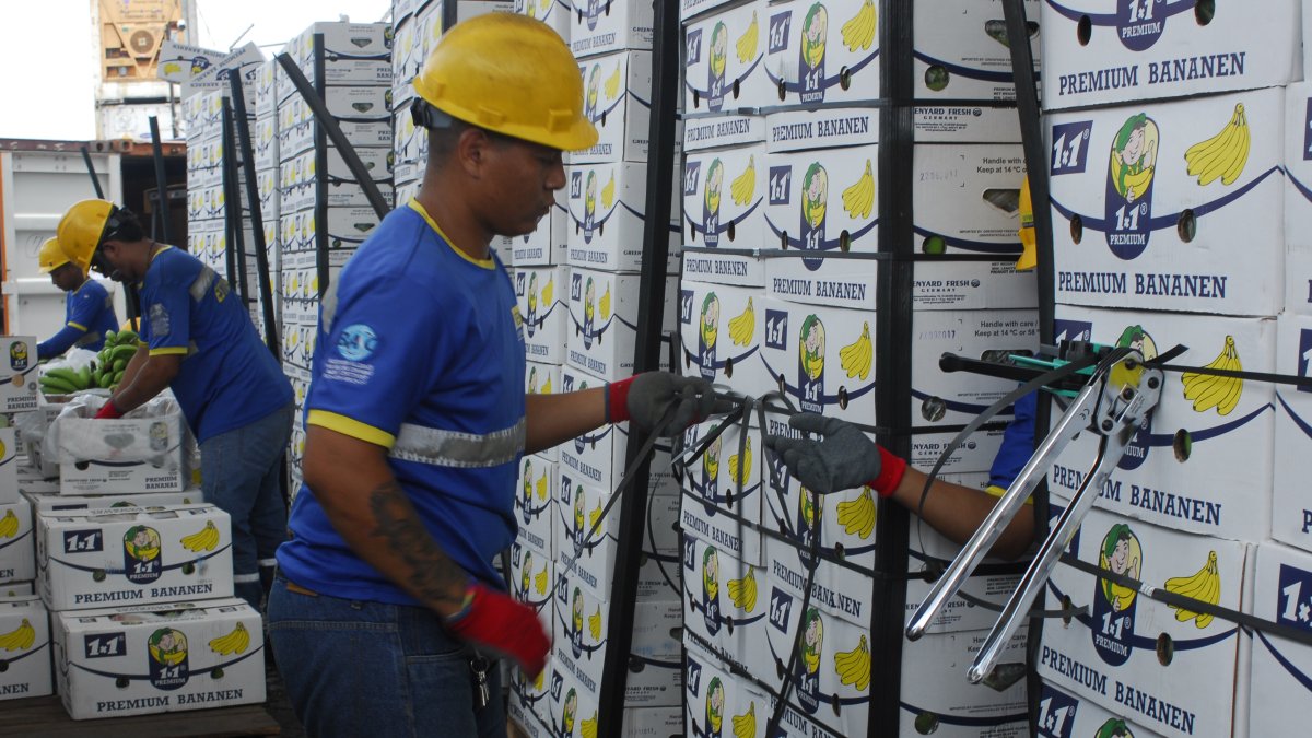 El Índice identifica las barreras que afecta al 95 % del PIB mundial.