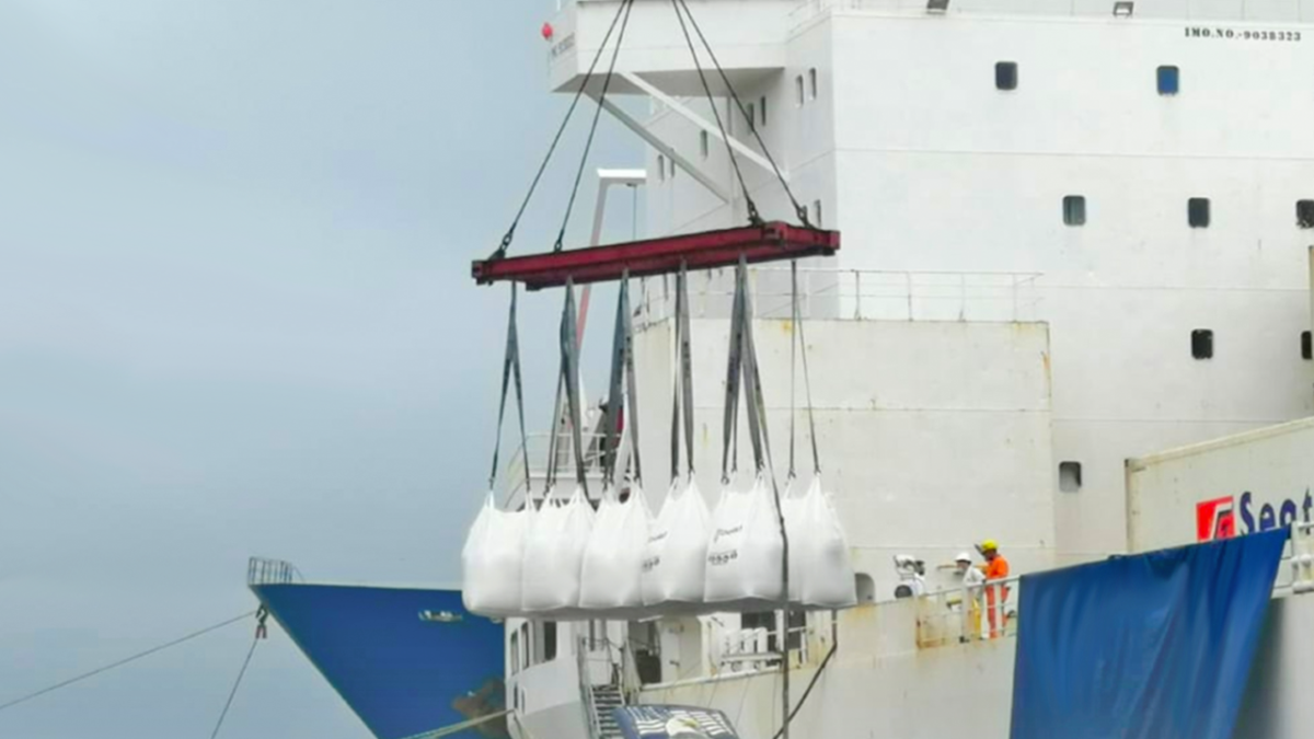 El embarque del mineral hacia China aumentó considerablemente este año.