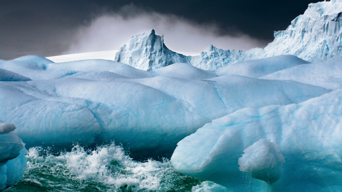 Las ventajas de esta tecnología han quedado patentes durante la participación del Instituto de Ciencias Marinas de Andalucía (ICMAN), del español Consejo Superior de Investigaciones Científicas (CSIC), en el proyecto PiMetAn, que estudia el papel de los pingüinos en el funcionamiento ecológico de la Antártida.