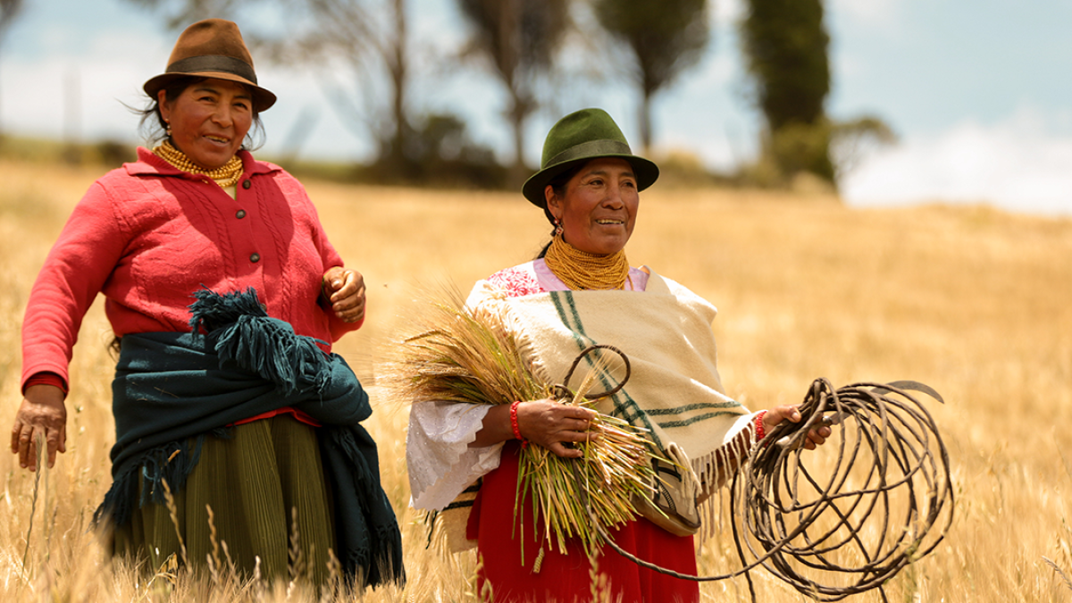 Cervecería tiene más de 12 años desarrollando vías que permitan a los pequeños agricultores ser proveedores de cebada, arroz y maíz.