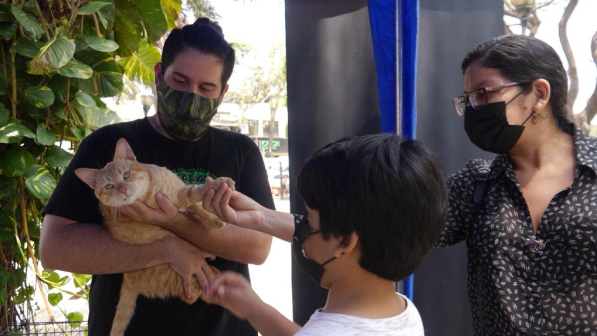 Asistencia. Diferentes familias acudieron a la jornada de adopción.