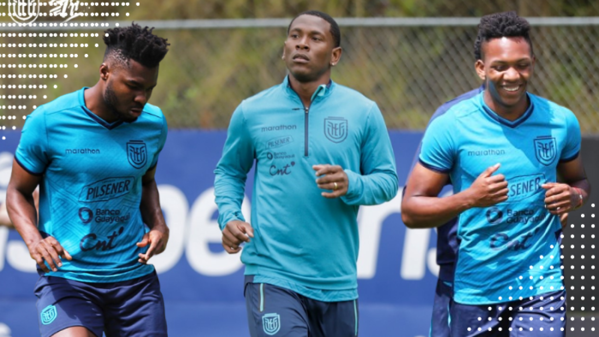 Jordy Caicedo, Brayan Angulo y Djorkaeff Reasco son las opciones de Alfaro en la delantera de la Tricolor.