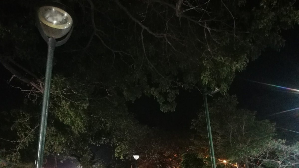 Efecto. Los presuntos responsables de dejar a oscuras el área recreativa sacaron las instalaciones eléctricas subterráneas y cables del interior de los postes metálicos.