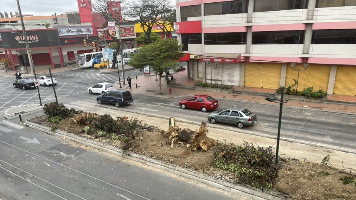La tala de un árbol en la avenida Benjamín Carrión y Rodolfo Baquerizo Moreno, en la Alborada provocó malestar en moradores.