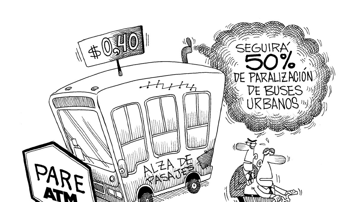 Primero, buen servicio y revisión técnica de las unidades.