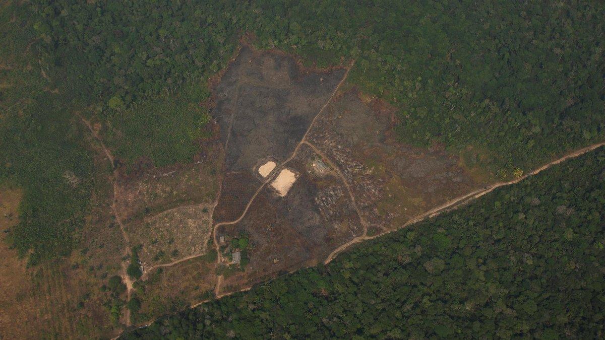 Vista aérea de áreas deforestadas de la selva amazónica, en Porto Velho, Rondonia (Brasil) con el lado derecho calcinado por los incendios, en una fotografía de archivo.
