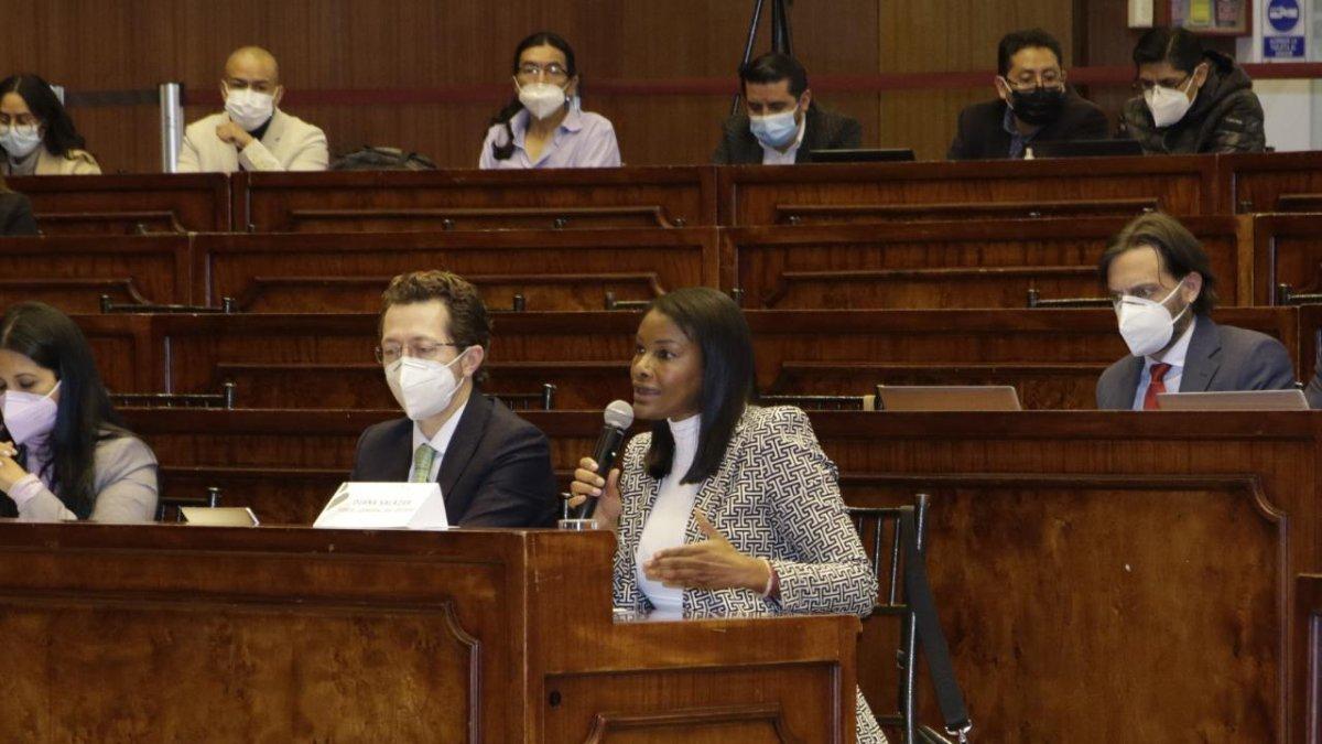 Fiscal. Diana Salazar señaló a jueces, quienes fallaron a favor de la empresa de los socios de Álex Saab.