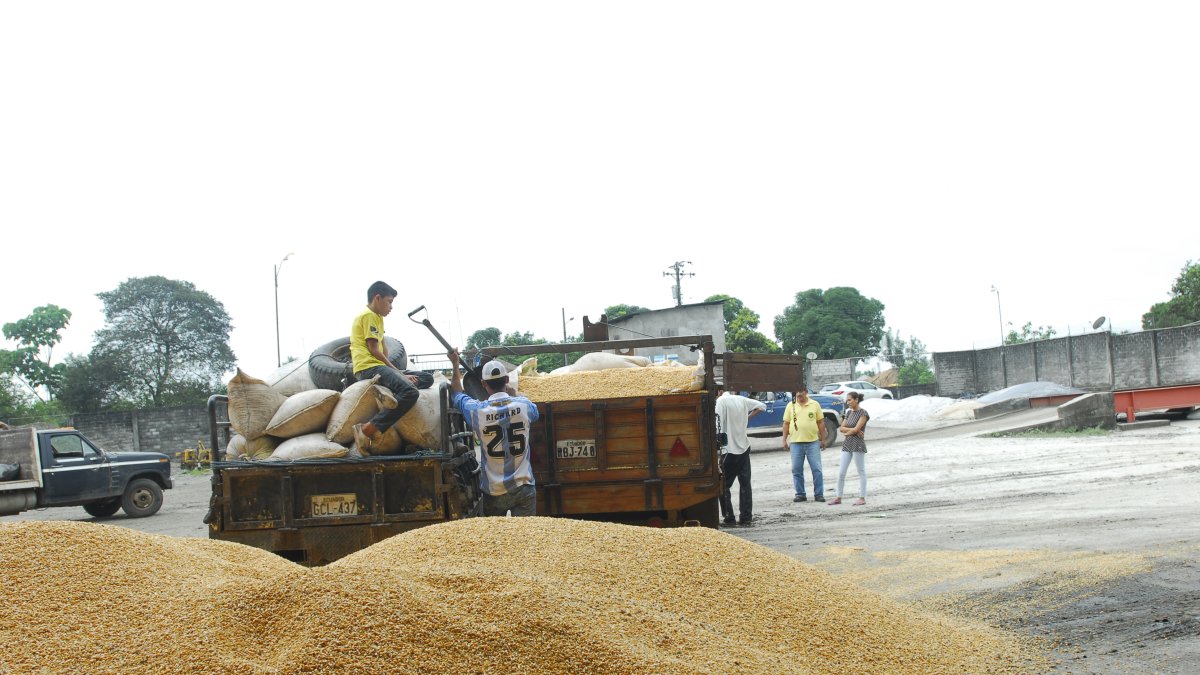 En el mercado se estima que existen apenas 60.000 toneladas de inventario.