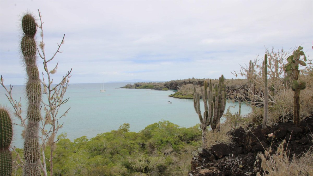 Fotografía de la bahía en la isla de Santa Cruz, en el archipiélago de Galápagos (Ecuador).