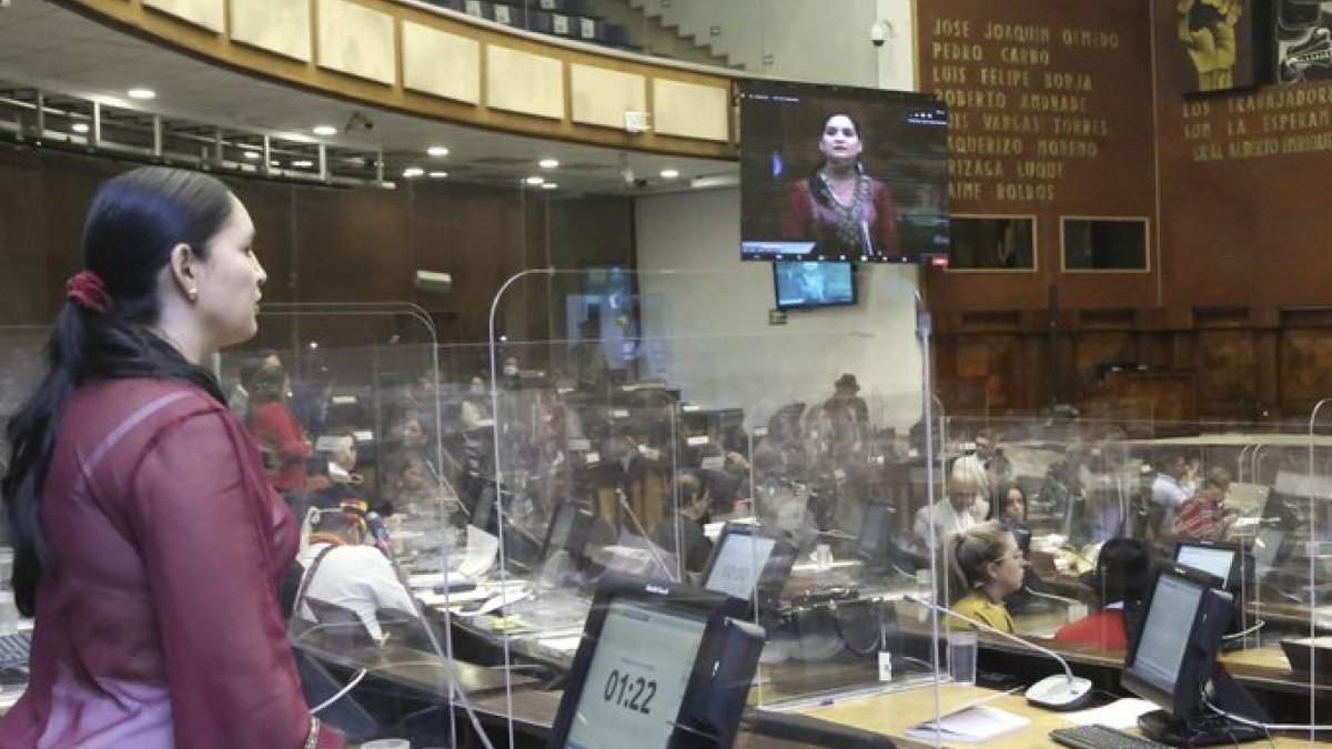 Mireya Pazmiño, de Pachakutik, dirige la Comisión de Régimen Económico con el respaldo del correísmo.