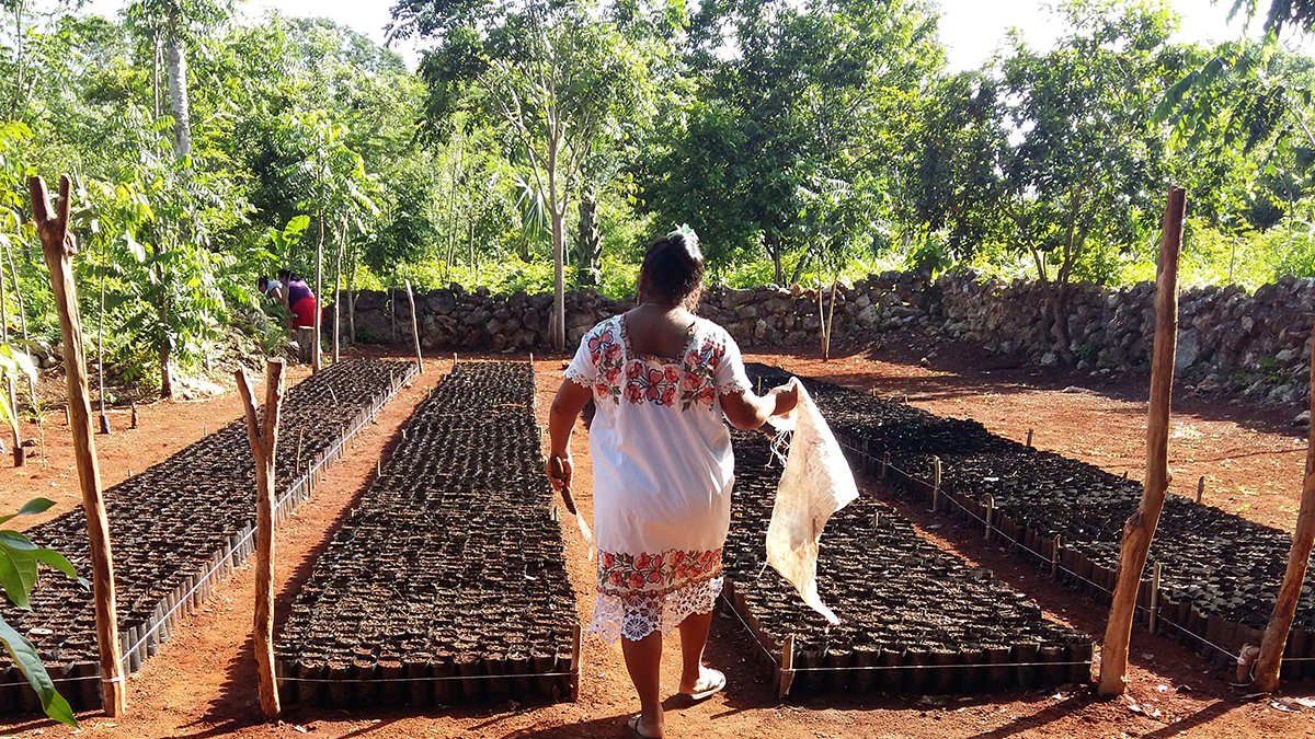 El Gobierno busca imponer una contribución temporal, sobre los patrimonios de personas naturales.