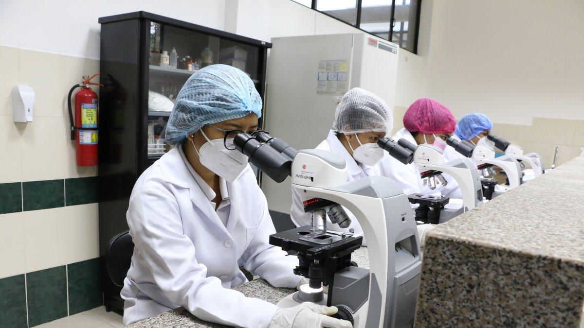 Los estudiantes realizan prácticas en los cuatro microscopios que tiene el laboratorio.