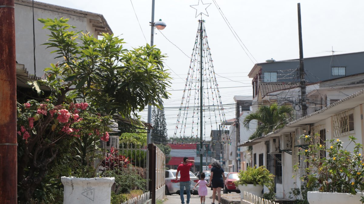 En algunas peatonales de la ciudadela Sauces 1 permanecen los árboles de Navidad que, años atrás, colocaron vecinos, pero alrededor muy pocos siguen la tradición.
