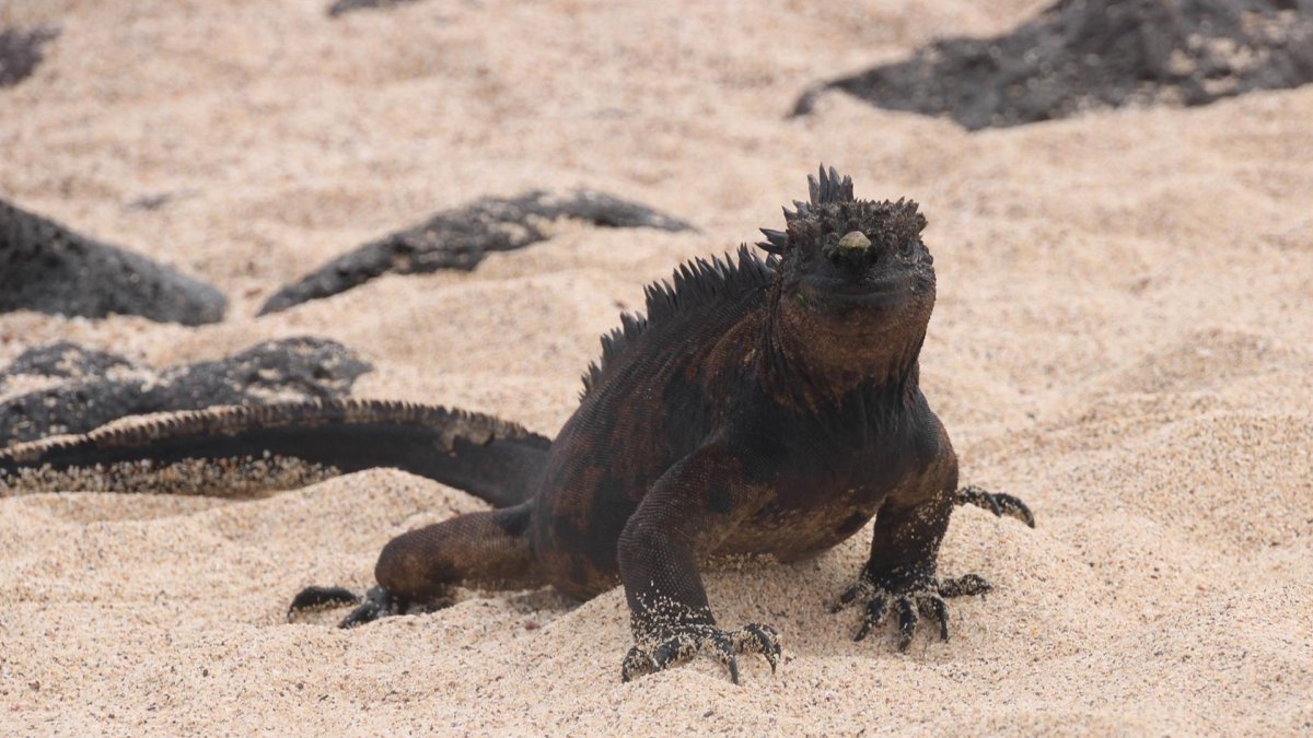 El archipiélago es Patrimonio Natural de la Humanidad