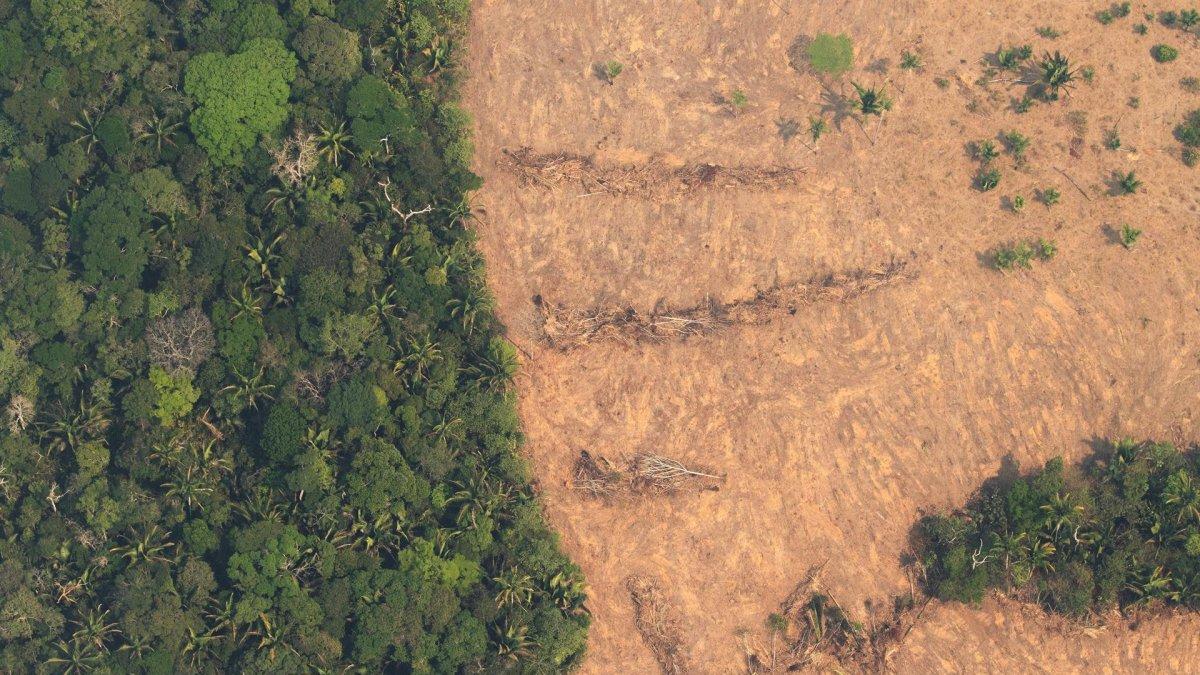 Vista aérea de áreas deforestadas de la selva amazónica de Porto Velho, Rondonia (Brasil), en una fotografía de archivo.