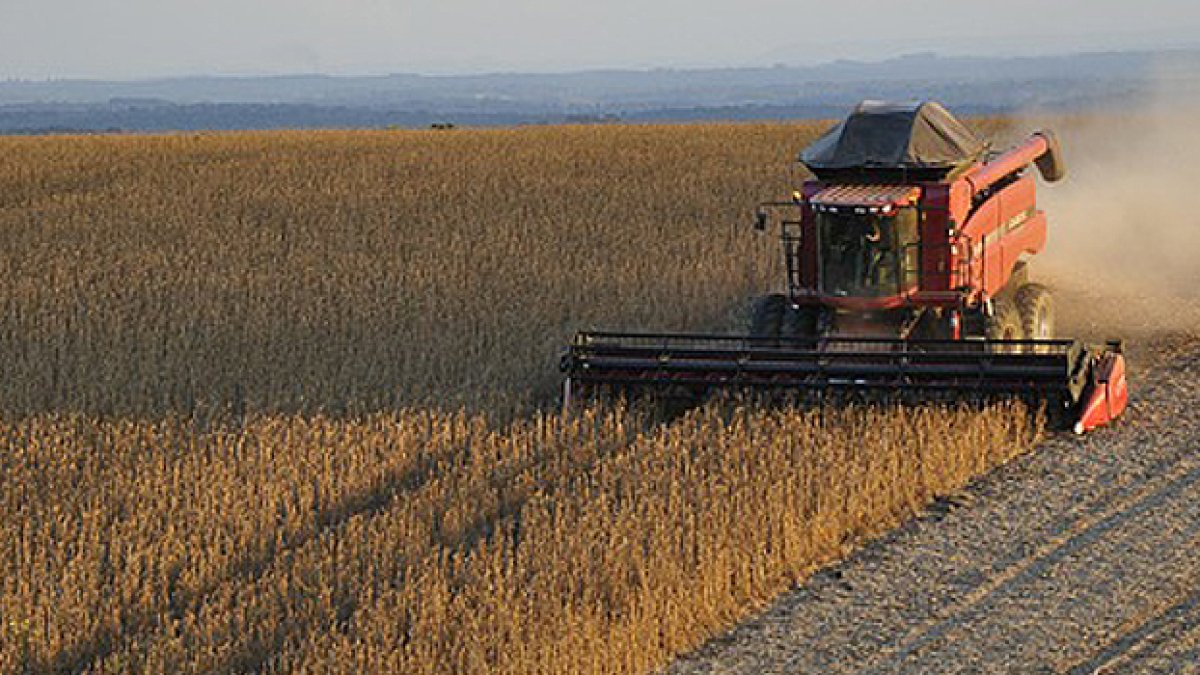 La producción de soja de Brasil es cuestionada por la Unión Europea