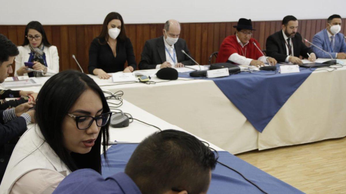 El comité votó hoy el informe elaborado por su presidente José Chimbo sobre la situación de Eckenner Recalde.