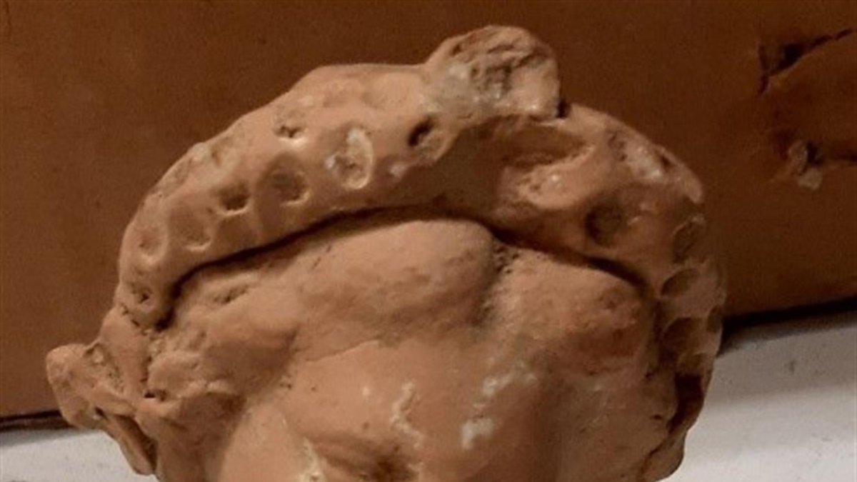 Las autoridades italianas se incautaron hoy en Sicilia (sur) de más de 11.000 objetos antiguos, que van desde el periodo helénico hasta el medieval y que habían sido robados en un yacimiento arqueológico clandestino.