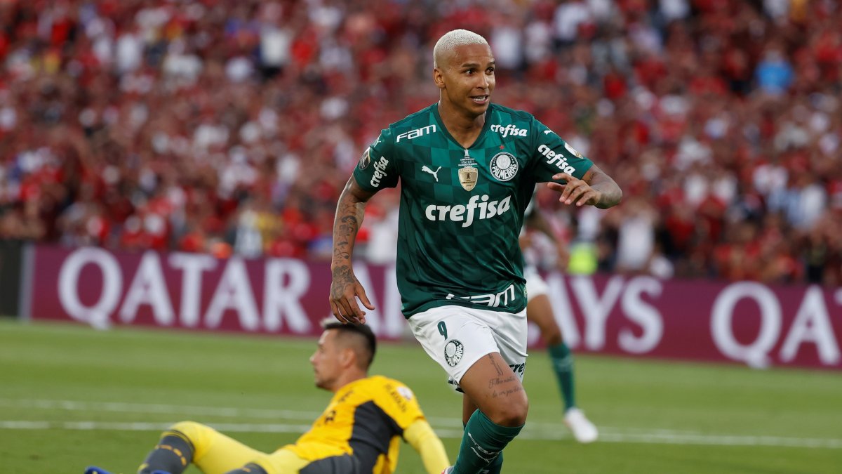 Deyverson, de Palmeiras, marcó el gol con el que su equipo ganó la Copa Libertadores.