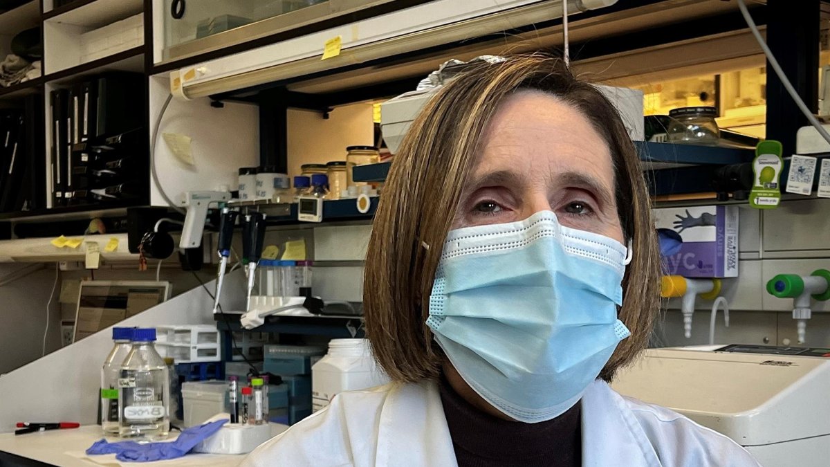 La investigadora Isabel Sola, codirectora del laboratorio de coronavirus del Centro Nacional de Biotecnología del CSIC, durante la entrevista mantenida con la Agencia Efe en Madrid.