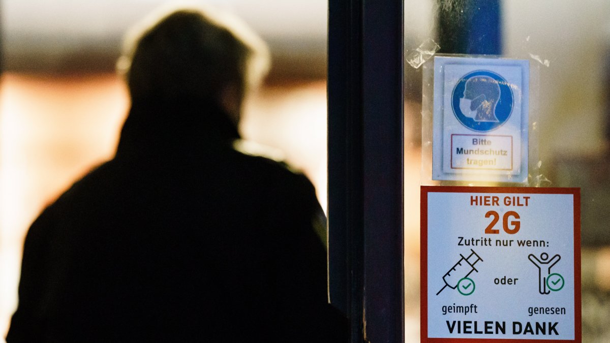 El equipo de investigadores, procedentes de diversos centros alemanes como el Hospital Universitario Charité y el Instituto Robert Koch (RKI) de virología, entre otros, halló que los fagocitos del sistema inmune desempeñan un papel fundamental en el proceso.