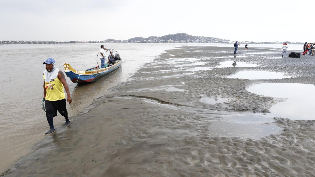 Panorama. Se prevé la extracción de los sedimentos en los alrededores del islote El Palmar, en el río Guayas.