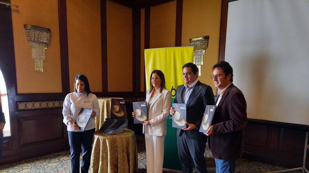 Obra. La guía fue presentada en Madrid, en octubre pasado.