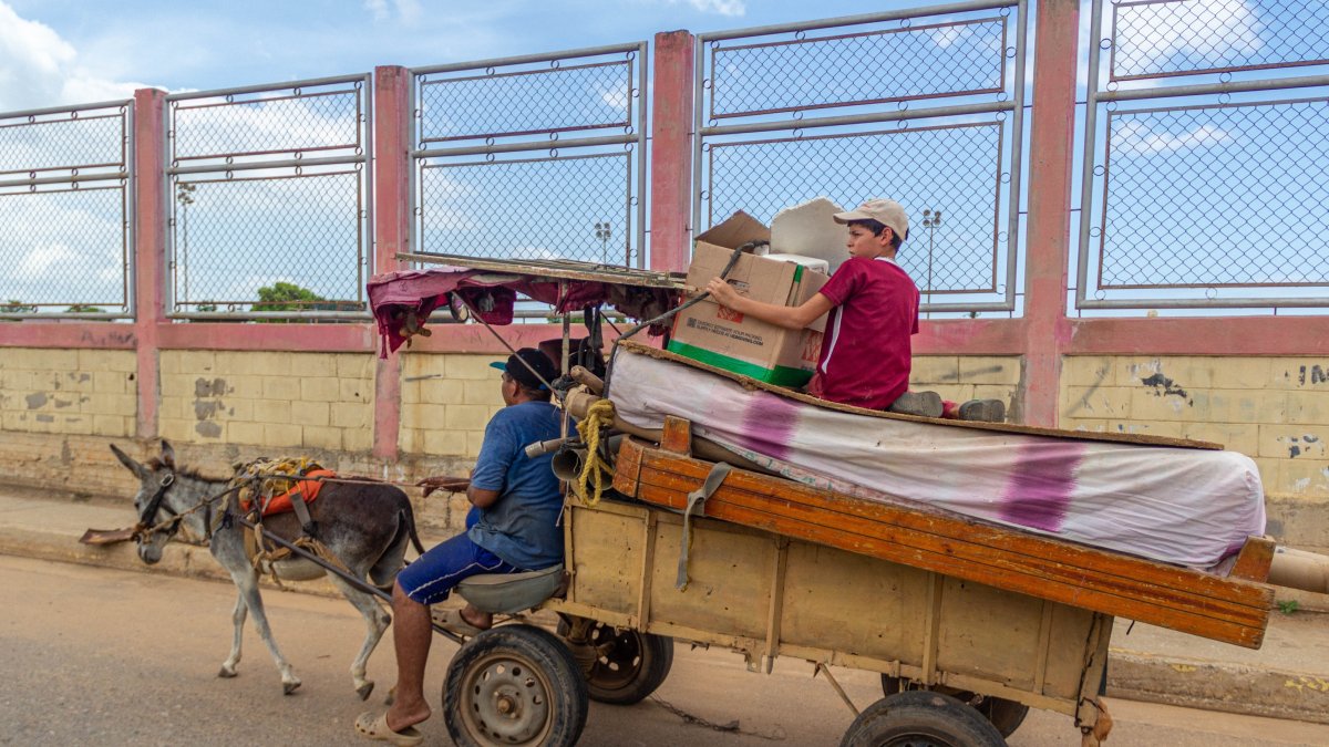 En En Maracaibo, muchas personas buscan ganarse el sustento trabajando con los asnos. HENRY CHIRINOS