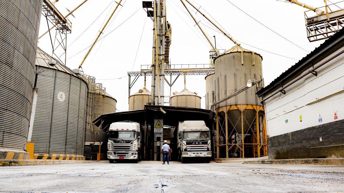 La industria esperaba la autorización para importar 200.000 toneladas para cubrir el faltante que tendría en marzo y abril.