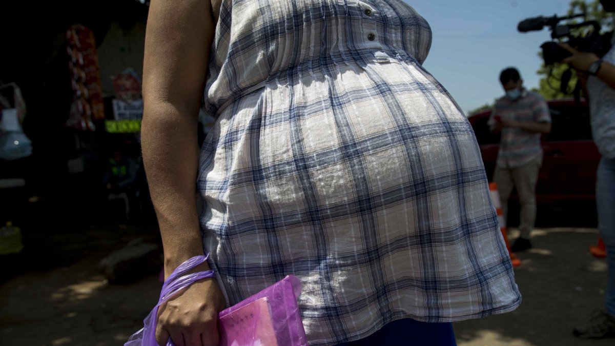 Los expertos cruzaron datos con información sobre el clima. EFE/Jorge Torres