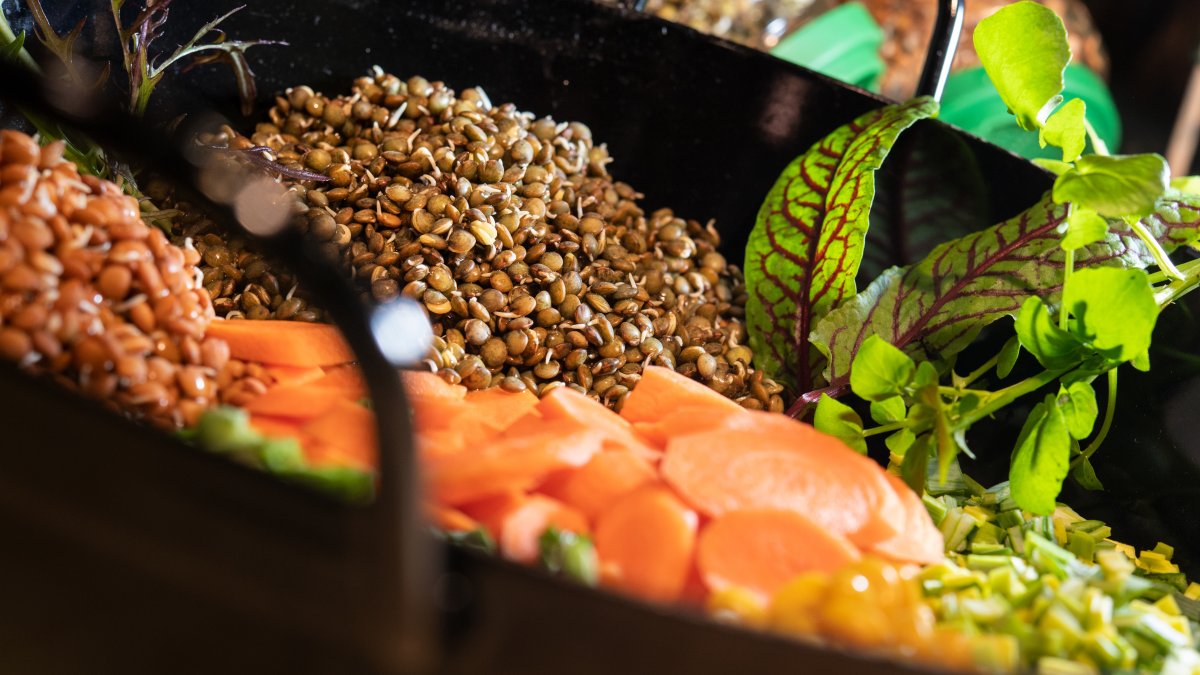 Las lentejas también son ricas en fitoestrógenos y se pueden incluir en muchos platos diversos.