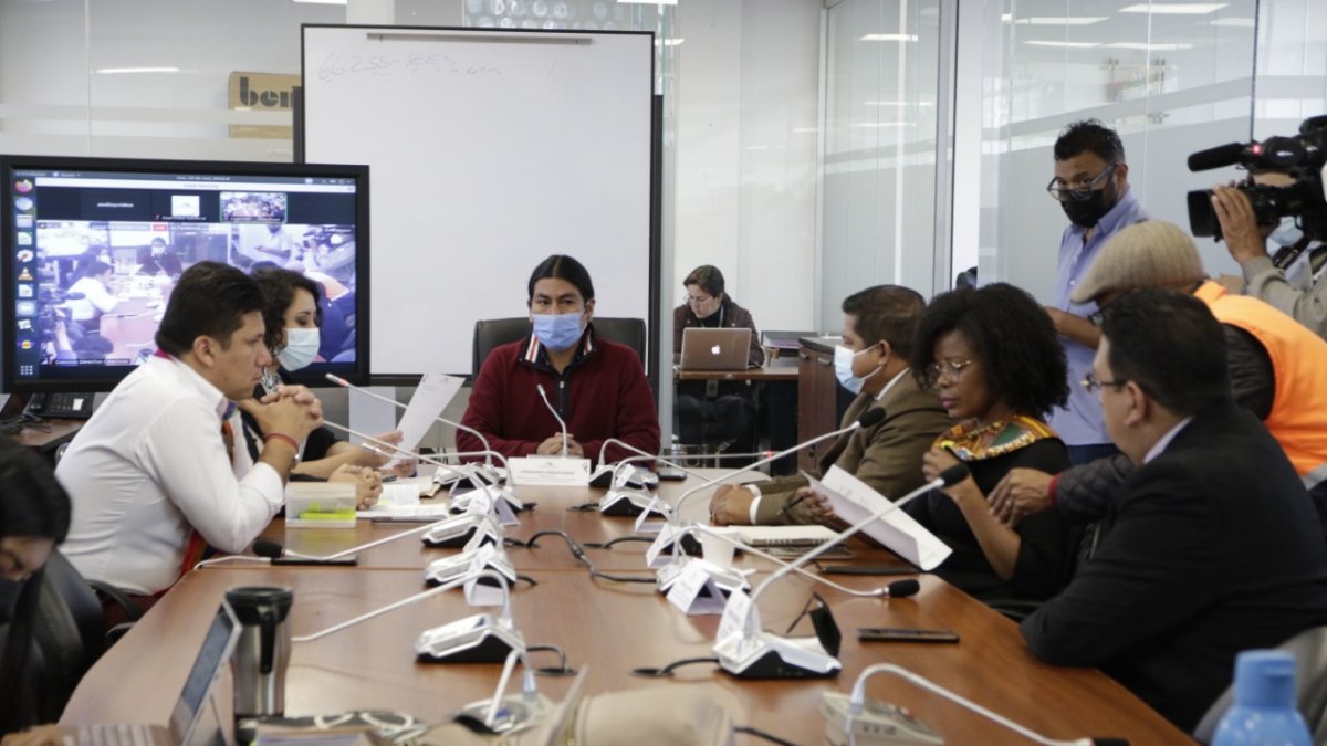 Postura. En la Comisión de Garantías Constitucionales domina una mayoría conformada por UNES y Pachakutik.