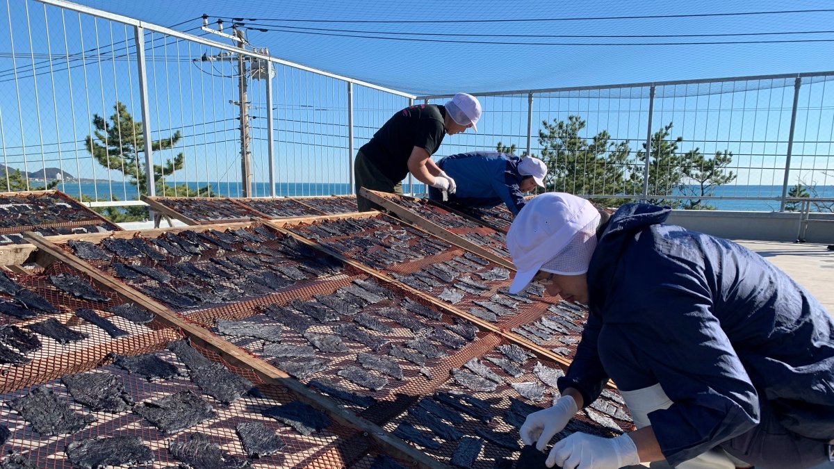 La captura de ballenas en una industria mantiene  viva en Japón  a las comunidades pesqueras como Wada.Carmen Grau Vila / EFE