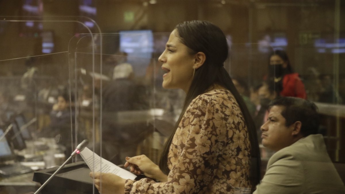 Debate. La intervención de Sofía Sánchez marcó el curso de la jornada. Ella denunció todas las irregularidades cometidas en la aprobación del informe sobre Pandora Papers.