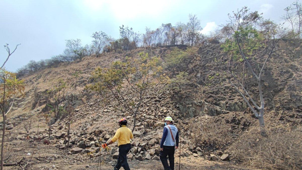 Trabajos. Bomberos realizaron un peritaje en el sitio para evaluar los daños.