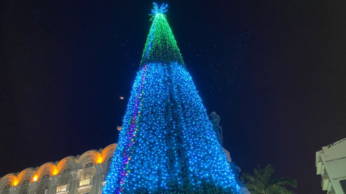 Árbol de navidad ubicado en la Plaza de la Administración