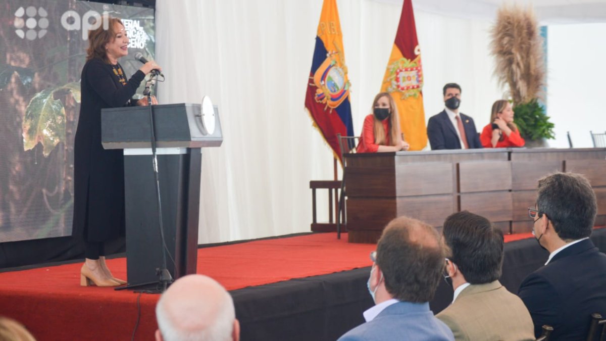En la antigua Escuela Central se inauguró la 15 Bienal de Cuenca-Bienal del Bioceno. Cambiar el verde por azul