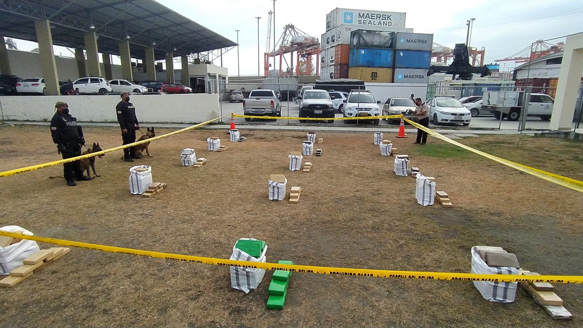 Los 1.102 bloques encontrados en una casa en Urdesa el miércoles pasado, suman a la cifra, que constituye un récord histórico de decomisos de droga en Guayaquil.