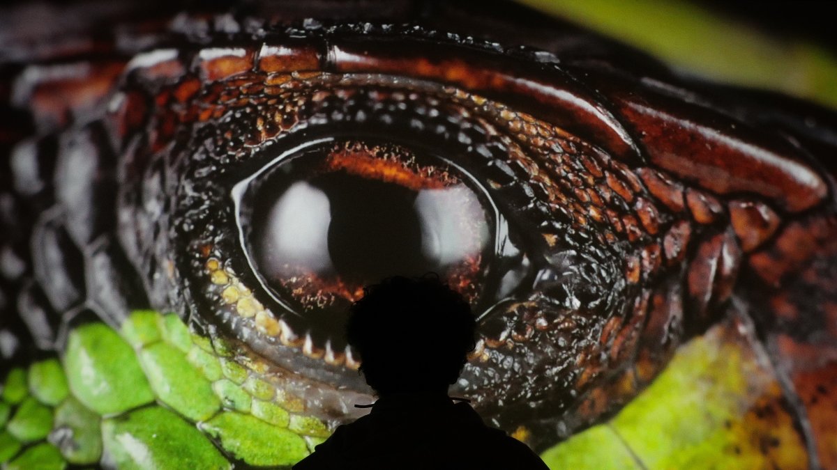 Visitantes disfrutan de la Inauguración de la exposición 